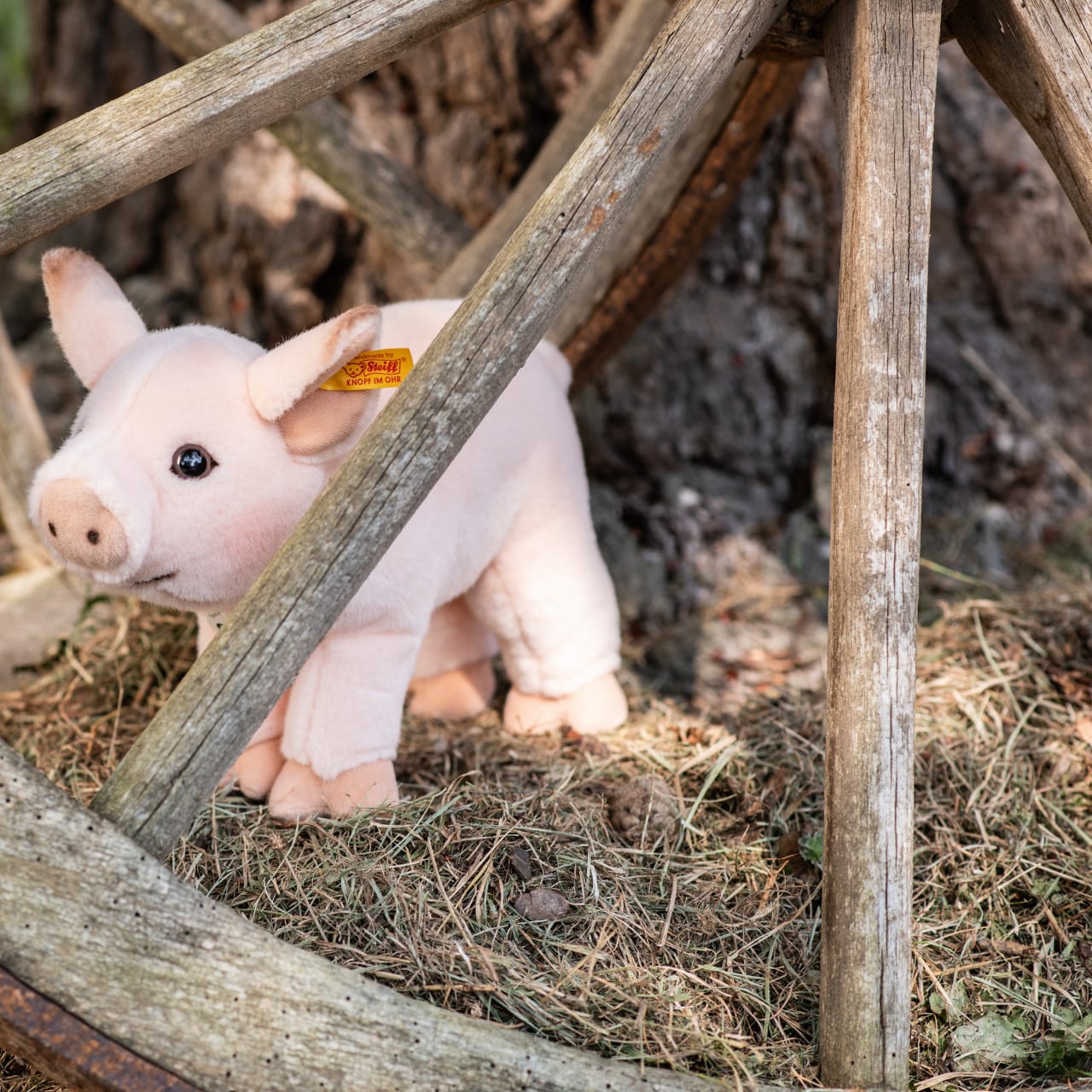 Steiff plueschschwein emo 01