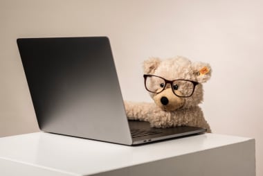 Steiff teddy am laptop