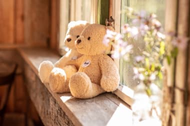 Zwei steiff teddies auf fensterbank