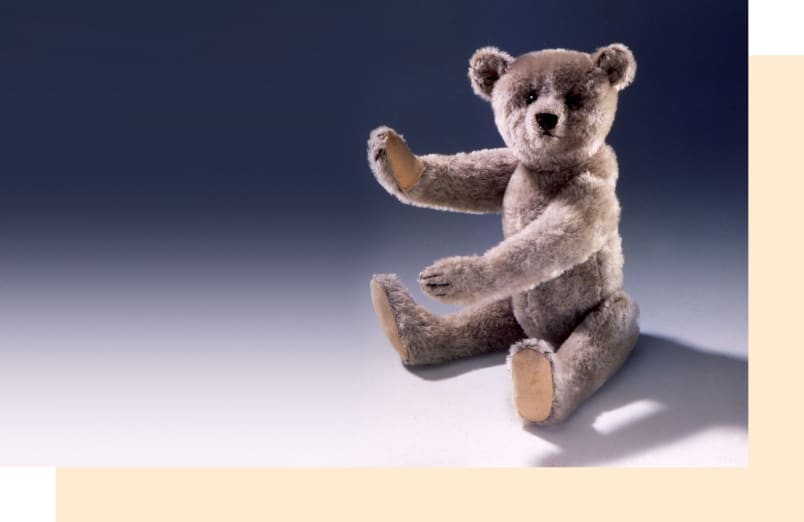 The Story of the Steiff Teddy Bear: An Illustrated History from 1902 [Book]