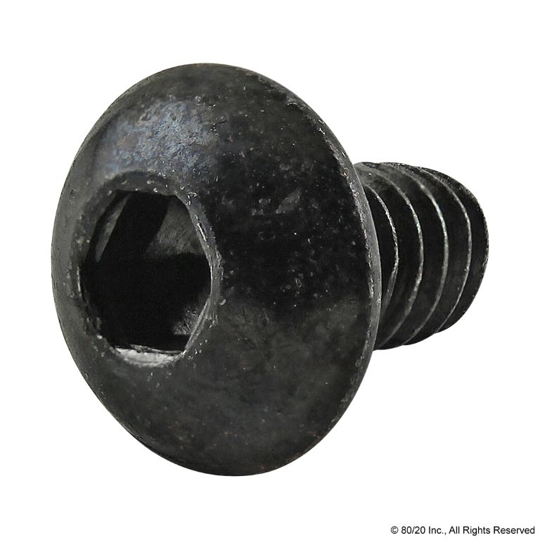 Self Tapping End Cap Screw