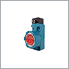 Explosion Proof Limit Switches