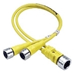 DANWODE00331_13_PE_001