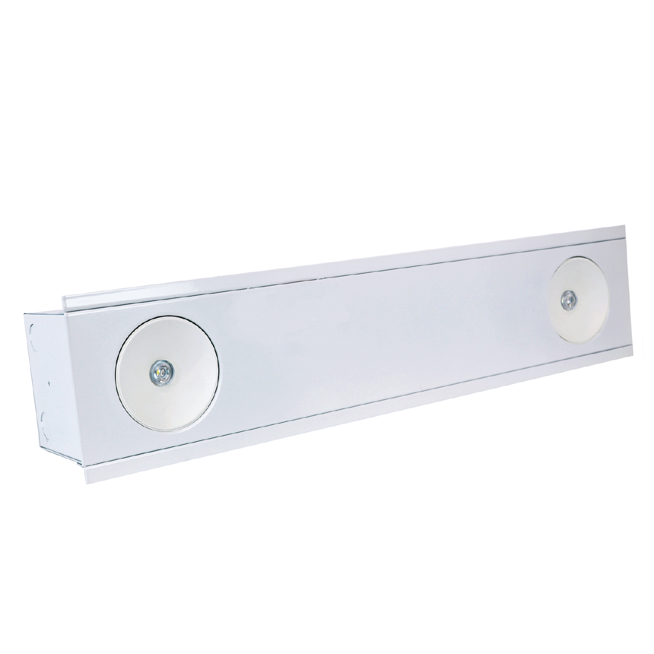 Sure-Lights SELMTG60R5SD Architectural Emergency Light 3 Rotable Heads ...