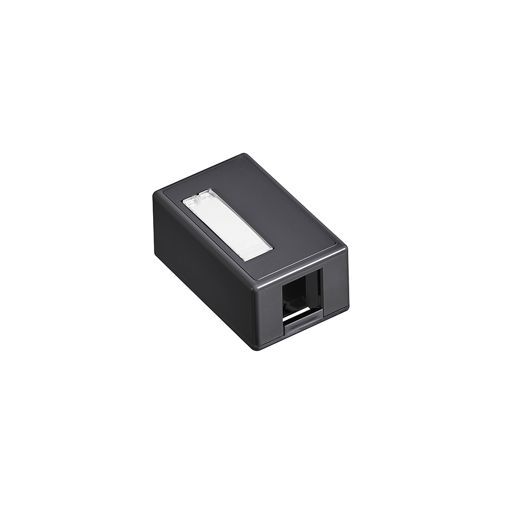 10962_Z8FDPK31Y0A9OQX5