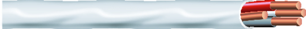 11169_L0UXJM3FTG7ZE2BV
