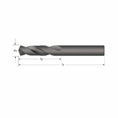 Dormer_0016565