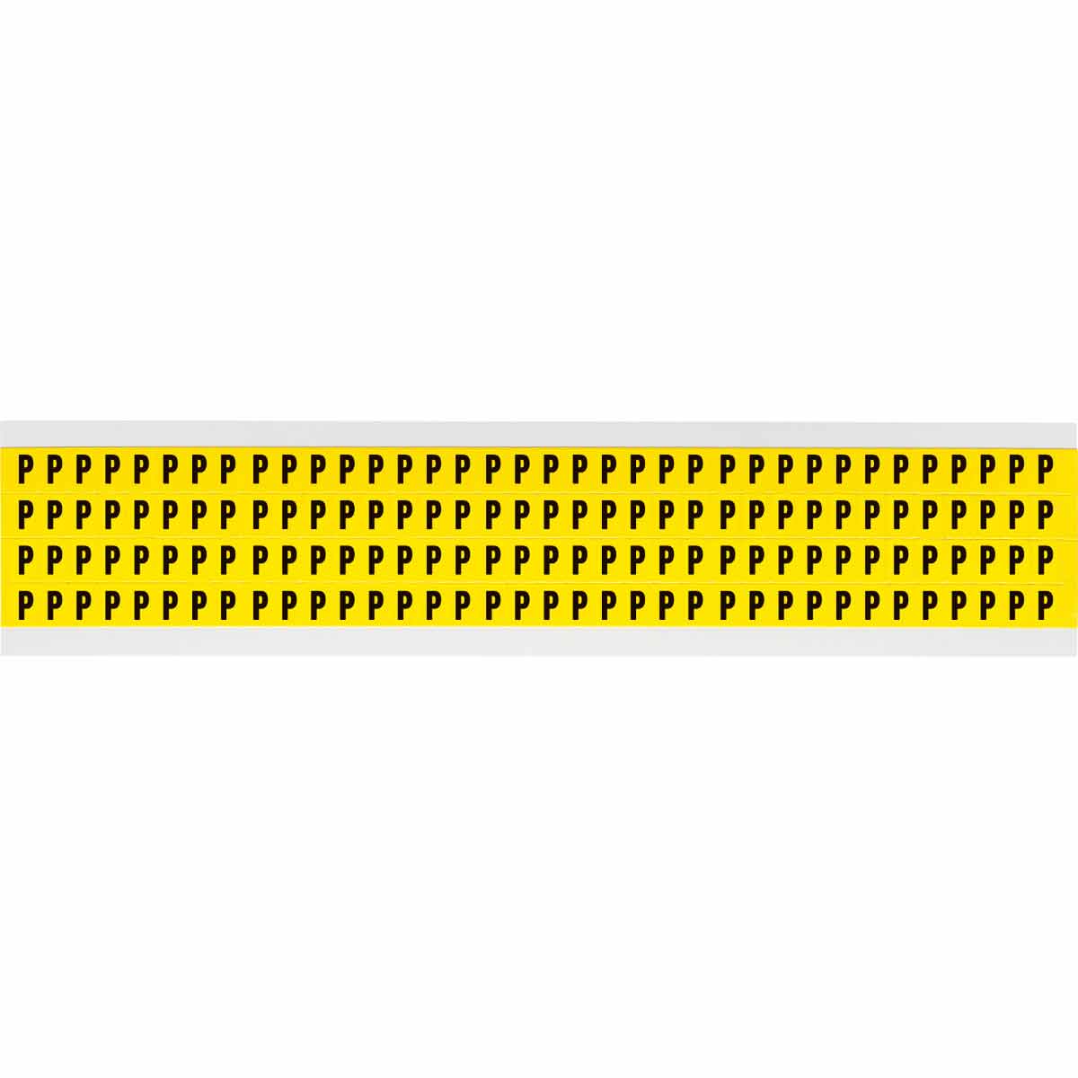 11120_C6JXMNHE91V8DGKP