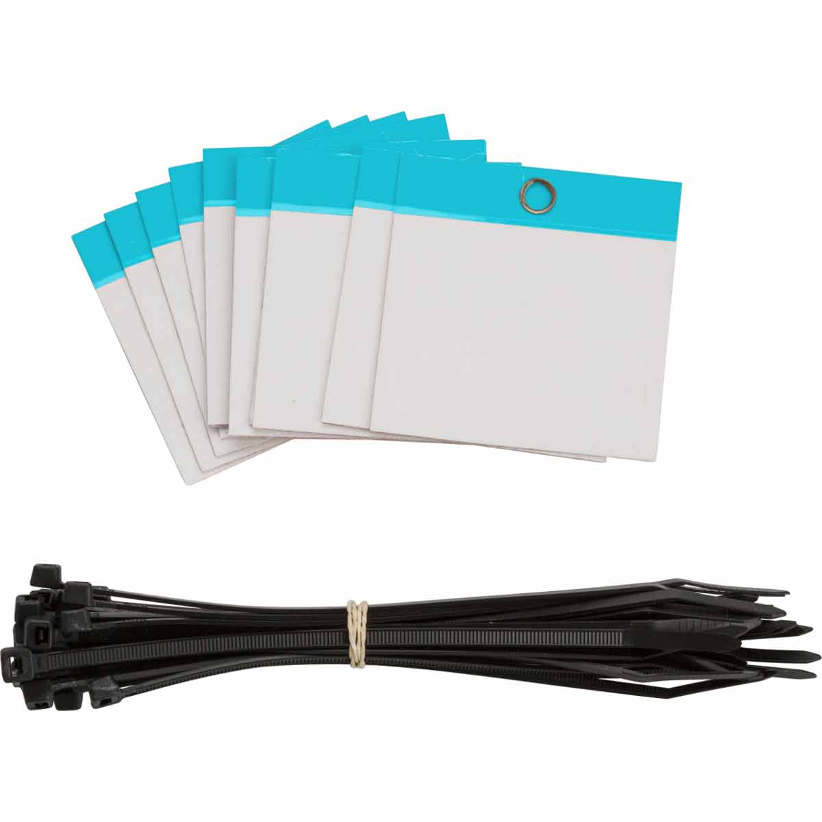 11120_P8E7NLZQHIT2XA5R