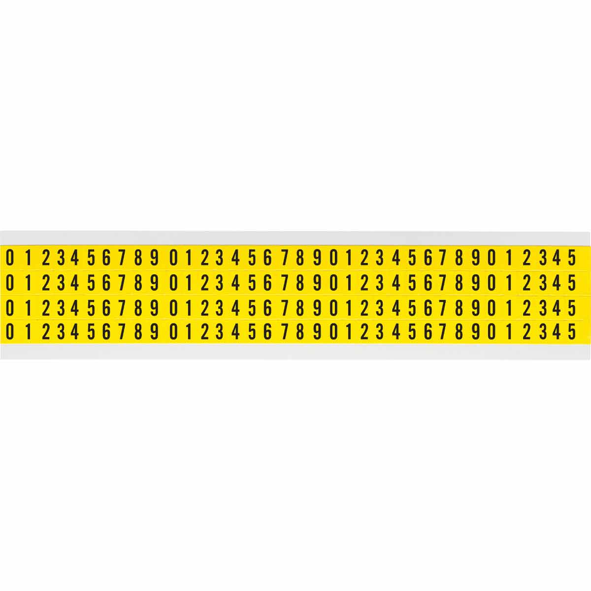 11120_O2MYF4N0XCQ3859I