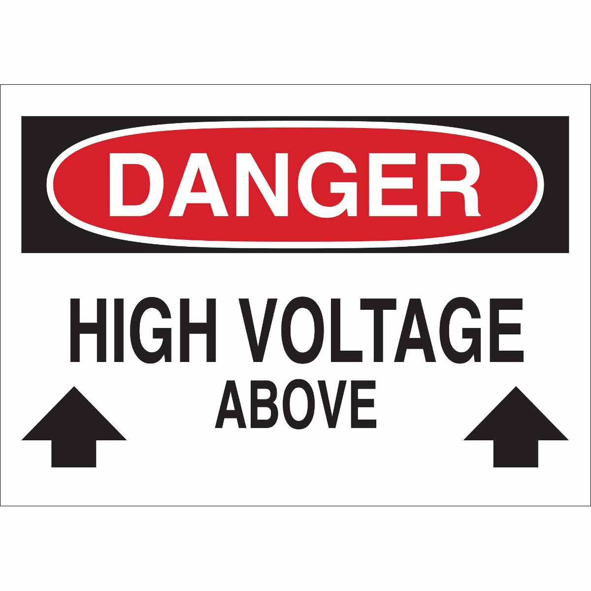 11120_OT2BDXINLQ5FAEM4