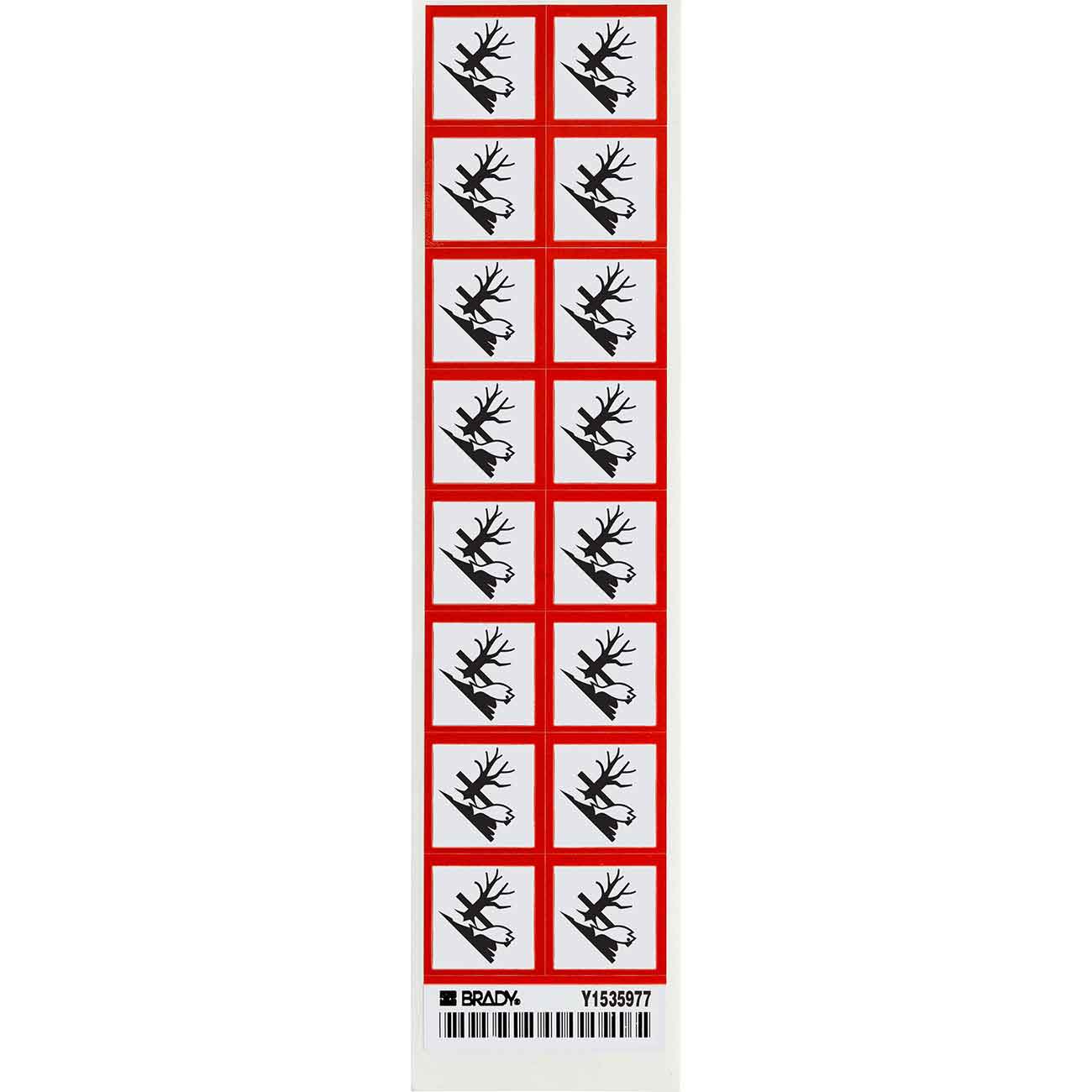11120_AQZ7GWUH10RDPBVT