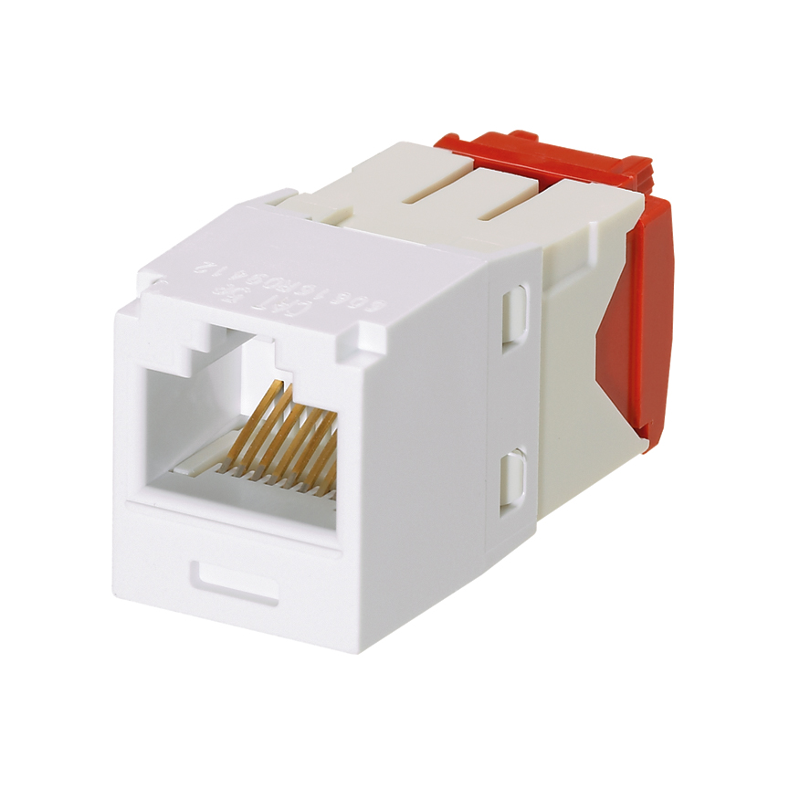 10965_9XLT3RCWZBQSN1UG