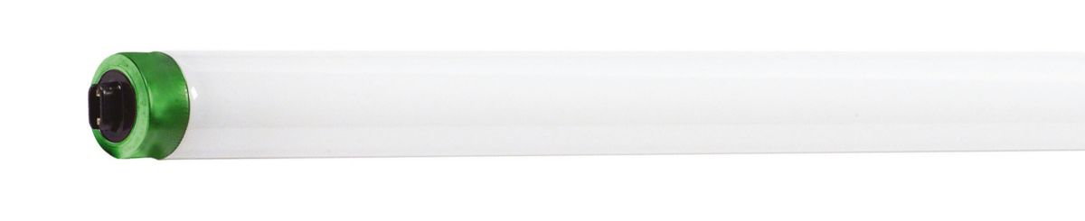 10980_7eujr6kp3sz1wd5x