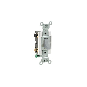 Leviton_CS415_2GY