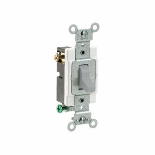 Leviton_CS320_2GY