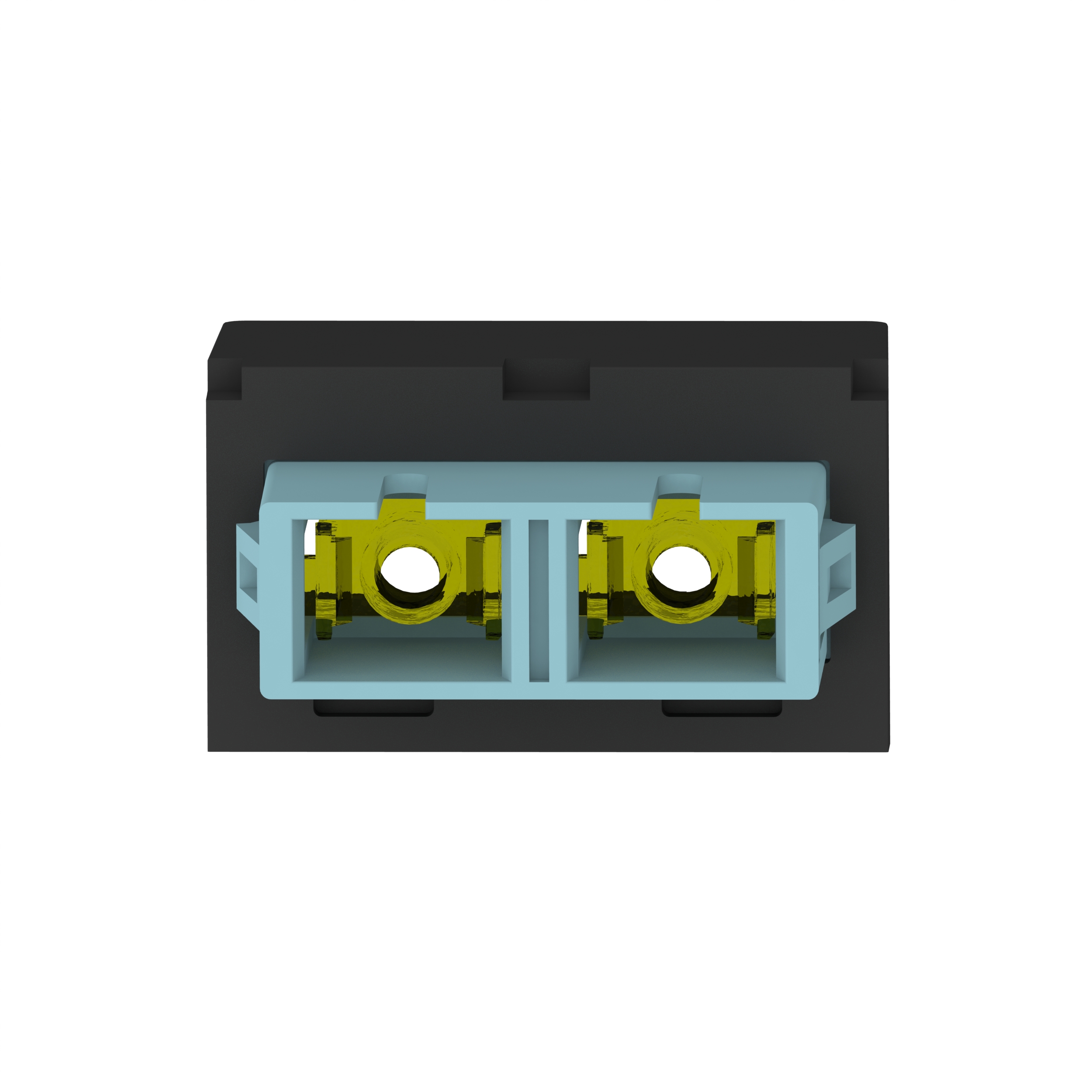 10965_9EJDIP0Q2ZBCYG6M
