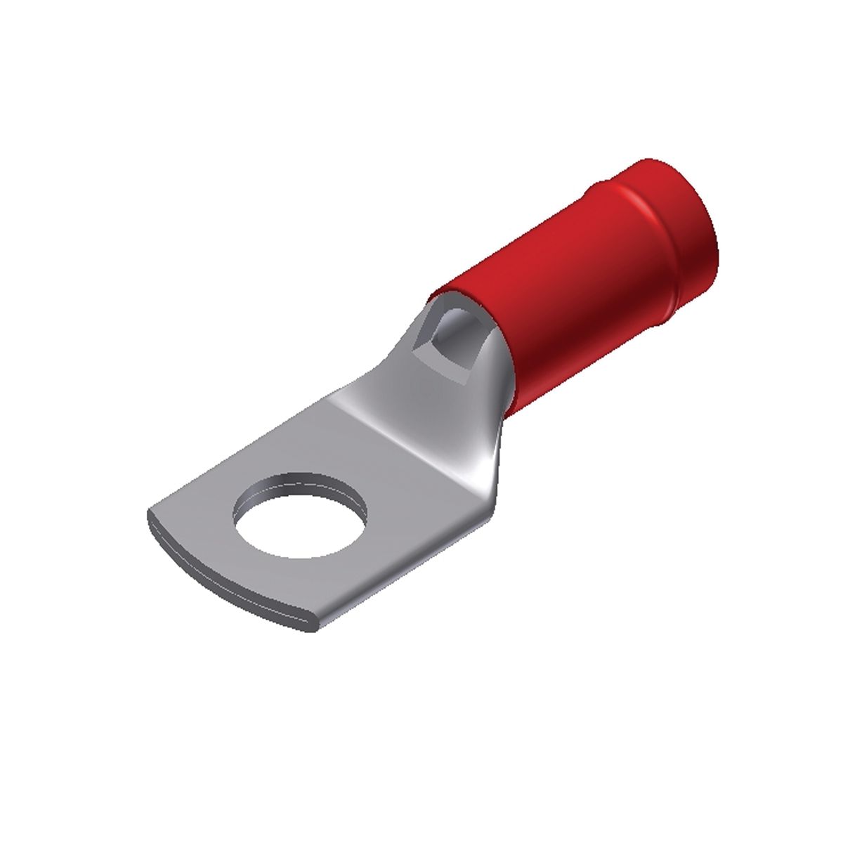 10969_R1XFHMVOBLCJ8PZA