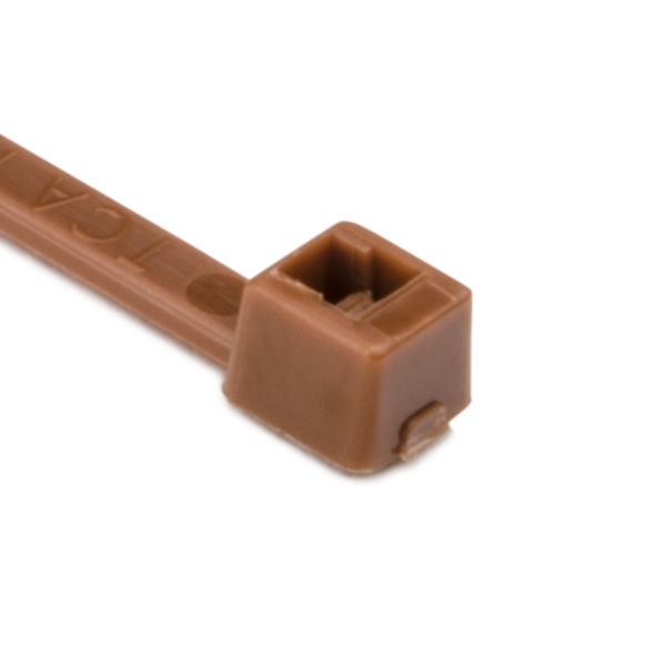 IDW_IMAGE_1520934105405