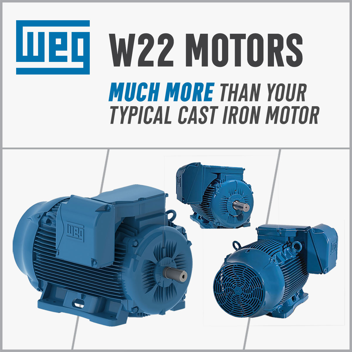 WEG W22 Motors