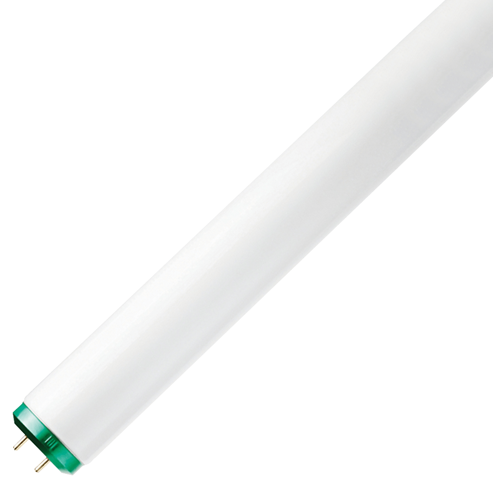 Fluorescent Lamps