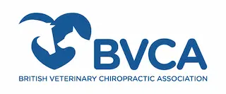 BVCA logo