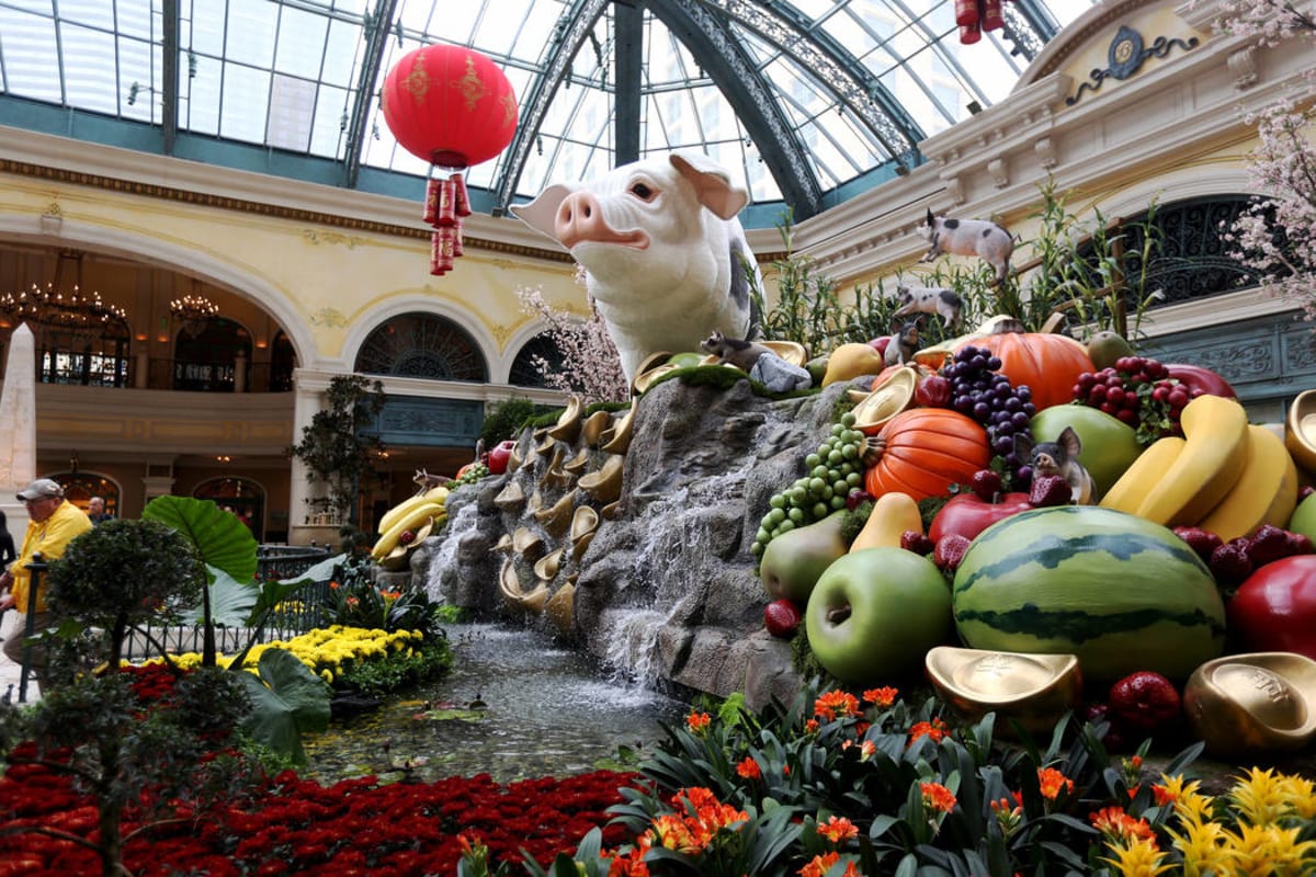 A 12-foot high pig at the west bed of the Chinese New Year Year of the Pig display at the Bellagio Conservatory at the Bellagio in Las Vegas, Monday, Jan. 14, 2019. (Rachel Aston/Las Vegas Review-Journal)