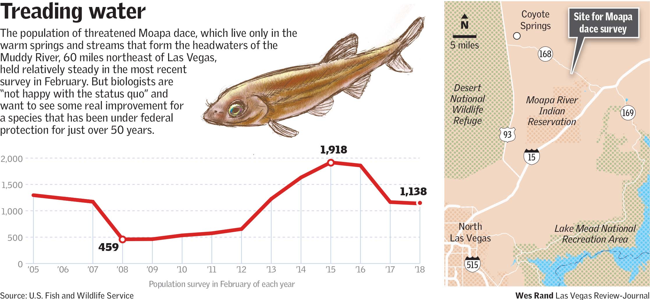 Population of threatened Moapa dace Muddy River(Wes Rand/Las Vegas Review-Journal)