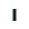 ID SHEET TAPE  BLK/GRN  STRIPE  0.25 INCH  [1/ST] Shop STERIS Product Number T3100903