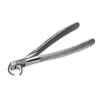 STERIS Product Number 8111 INSTRAPAC EXTRACT FORCEPS CHLD LOWER & ROOTS 10/CA