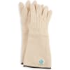 STERIS Product Number PS3817 STERILIZER GLOVES 17 INCH LONG [2/PR]