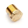 STERIS Product Number P003442091 PLUG PIPE 1/2 INCH