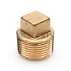 STERIS Product Number P003443091 PLUG 3/4 PIPE