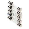 STERIS Product Number P764317825 FUSE  4 A   (BOX OF 5)