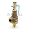 STERIS Product Number P764334895 VALVE SAFETY