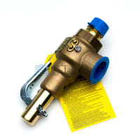 STERIS Product Number P764323460 VALVE  SAFETY 3/4 IN.
