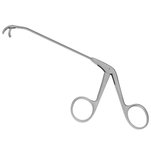 Ear, Nose, and Throat (ENT)