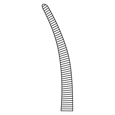 CLAMP CARDIO CRILE-TYPE CVD JAW 3.8CM Shop STERIS Product Number CH1707