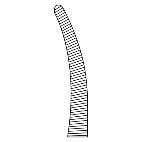 BRIDGE DEEP SURGERY FORCEP CVD JAW36.5MM Shop STERIS Product Number CH1724001