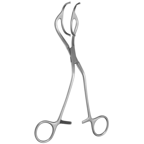 LEMOLE-STRONG AORTA CLAMP ANGLE 8IN Shop STERIS Product Number CH7492