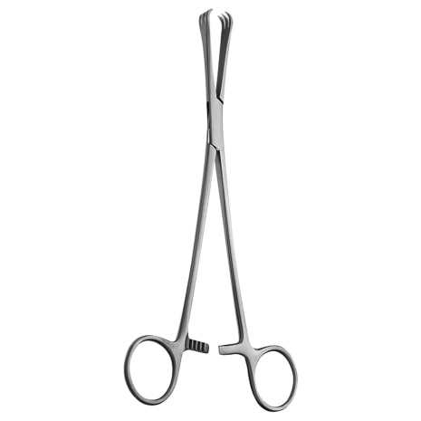 GRAVES VAGINAL SPEC SMALL BLADE 3X3/4IN Shop STERIS Product Number GL10