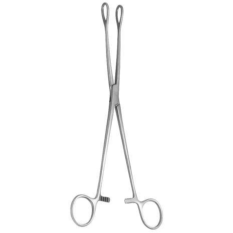 FOERSTER SPONGE FORCEPS STR SERR JAWS Shop STERIS Product Number GL650