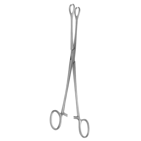 GUTGLASS CERVIX FORCEPS SERR STR MIRROR Shop STERIS Product Number GL685
