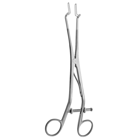 KOGAN ENDOSPECULUM ANG OVER LGTH 9-3/4IN Achetez le numéro de produit STERIS GL750