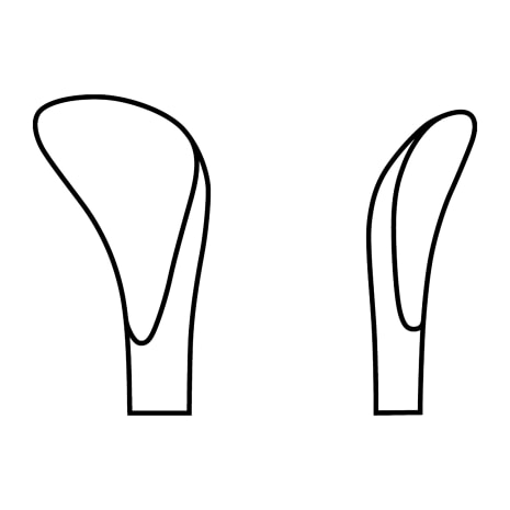 MOLT EXODONTIA ORAL CURET SZ 2-4 DBL-END Shop STERIS Product Number MO11025