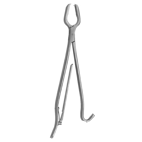 LANE BONE HOLDING FORCEPS HEAVY MODEL Shop STERIS Product Number OS910003H
