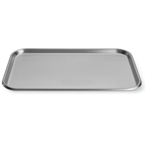 INSTRUMENT TRAY WITH ROLLED BEAD 48 X 32 X 2CM [1/EA] Achetez le numéro de produit STERIS PW19F