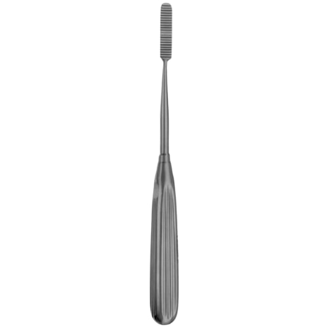 BOTTLE RASP OR SWEEPER DOWN-CUT 8-3/8IN Shop STERIS Product Number RH2040