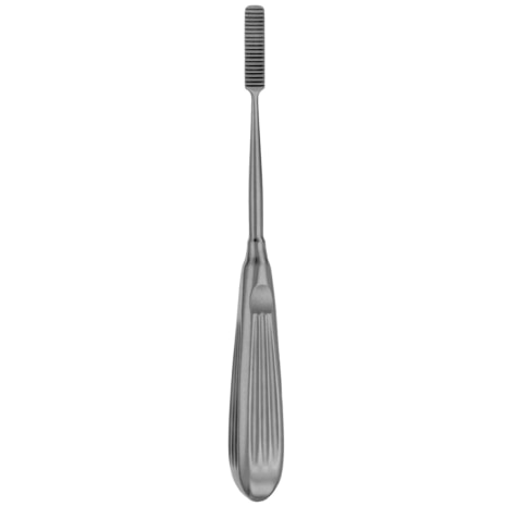 PARKES NASAL RASP 20 CONCAVE TEETH FINE Shop STERIS Product Number RH2069