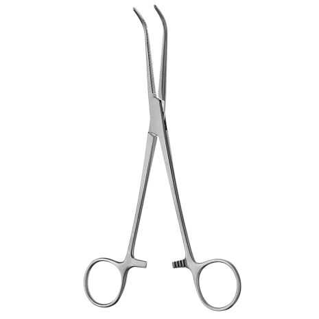 ROCHESTER-MIXTER GALL DUCT FORCP FULLCVD Shop STERIS Product Number SU10502